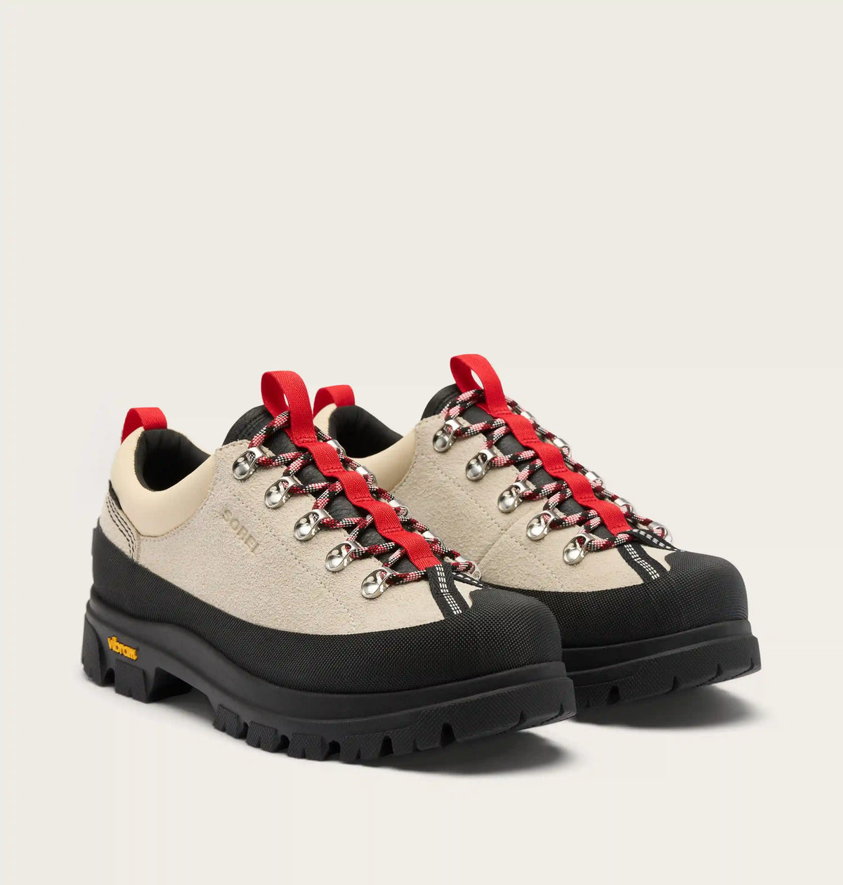 Daystorm™ Nomad GTX Men's Shoe